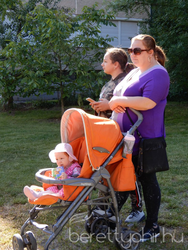 Életfa ültetés a város napján 11